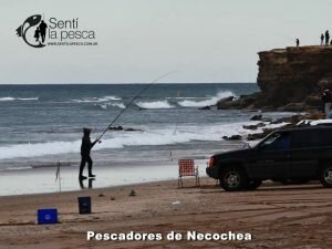 170605 PIQUE EN PUNTA NEGRA6
