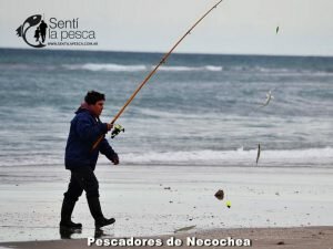 170605 PIQUE EN PUNTA NEGRA7