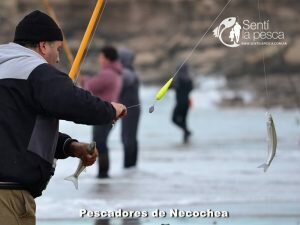 170605 PIQUE EN PUNTA NEGRA8
