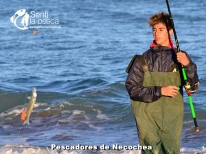 170605 PIQUE EN PUNTA NEGRA9