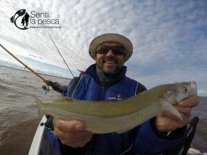 170605 PIQUE EN VILLA PARANACITO2