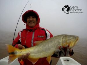 170605 PIQUE EN VILLA PARANACITO4