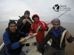 170605 PIQUE EN VILLA PARANACITO7