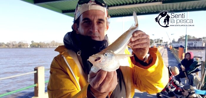 170612 PESCA EN EL PEJERREY CLUB dest
