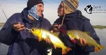 170614 DORADOS EN SANTA FE desta