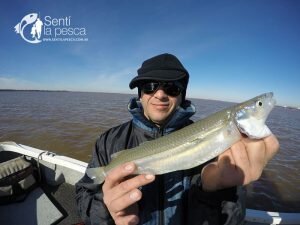 170621PEJES EN VILLA PARANACITO