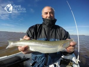 170621PEJES EN VILLA PARANACITO1