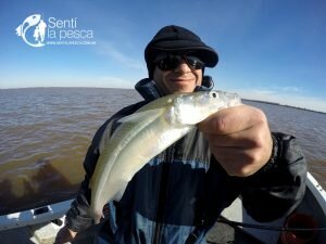 170621PEJES EN VILLA PARANACITO2