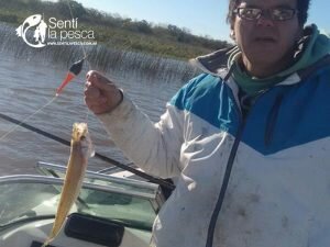 170622 PEJES DEL GUAZU4
