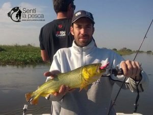 170627 DORADOS EN ROSARIO3