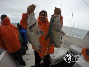 170628 EMBARCADOS EN MDQ