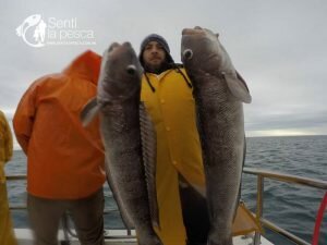 170628 EMBARCADOS EN MDQ2