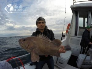 170628 EMBARCADOS EN MDQ3