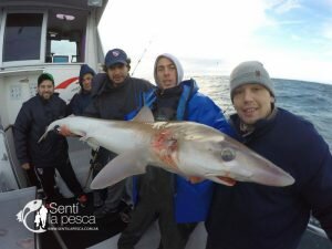 170628 EMBARCADOS EN MDQ5
