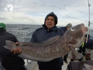 170628 EMBARCADOS EN MDQ6