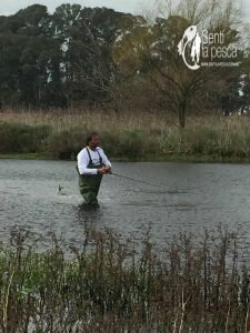 170628 PEQUEÑAS TARUS DE INVIERNO1
