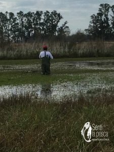 170628 PEQUEÑAS TARUS DE INVIERNO2