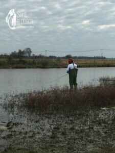 170628 PEQUEÑAS TARUS DE INVIERNO6