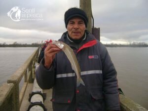 170629 PEJES EN LA TOMA