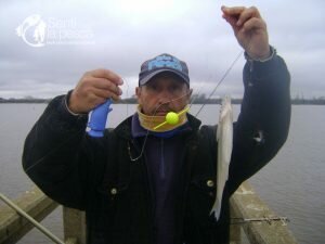 170629 PEJES EN LA TOMA4