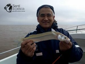 170710 EMBARCADOS DESDE QUILMES6