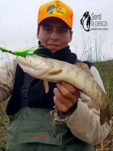 170710 TARUS EN EL RIOPLA1