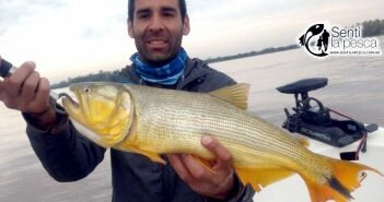 28/07/17 Dorados y Tarus en Rosario