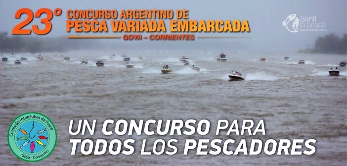 23 VARIADA EN GOYA dest5