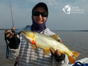 170915 TARUS DORADOS CHAFALOTES SANTA FE2
