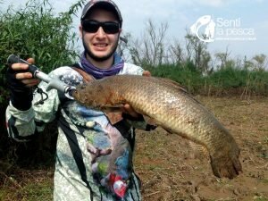 170915 TARUS DORADOS CHAFALOTES SANTA FE4