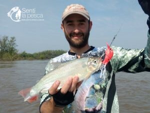170915 TARUS DORADOS CHAFALOTES SANTA FE6