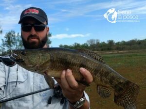 170915 TARUS DORADOS CHAFALOTES SANTA FE7