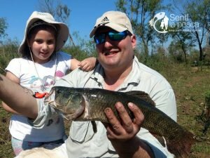 170915 TARUS DORADOS CHAFALOTES SANTA FE8