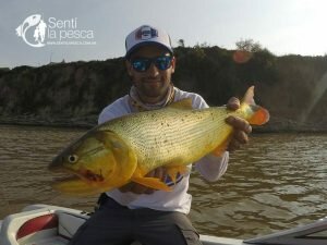 170927 CHAFAS EN SAN LORENZO9