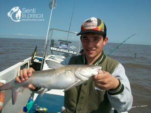 170928 BAGRES Y PEJES EN BERISSO2
