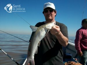 170928 BAGRES Y PEJES EN BERISSO6