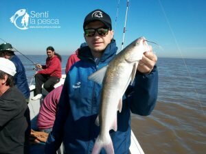 170928 BAGRES Y PEJES EN BERISSO8