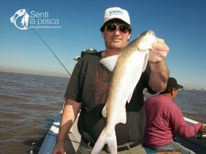 170928 BAGRES Y PEJES EN BERISSO9