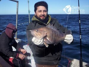170928 EMBARCADOS EN MDQ (6)