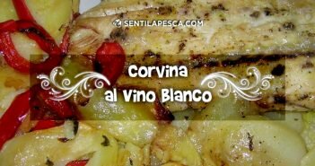CORVINA AL VINO BLANCO dest
