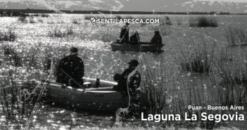 Laguna La Segovia, Puán – Bs. As.