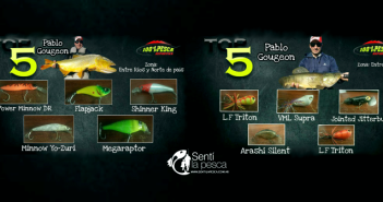 Ficha Top 5 de Pablo Gougeon