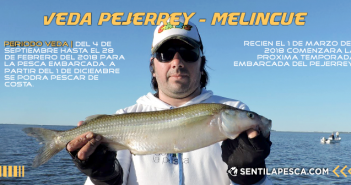 SEPTIEMBRE 2017 VEDA MELINCUE dest