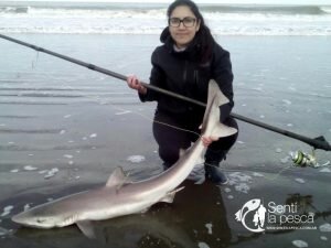 171003 TIBURONES EN SAN BLAS