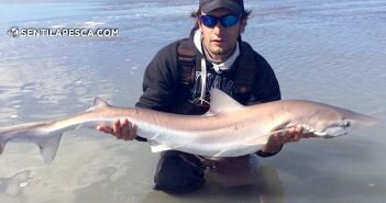 171003 TIBURONES EN SAN BLAS dest