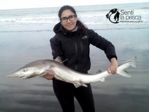 171003 TIBURONES EN SAN BLAS2
