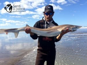 171003 TIBURONES EN SAN BLAS6