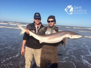 171003 TIBURONES EN SAN BLASa