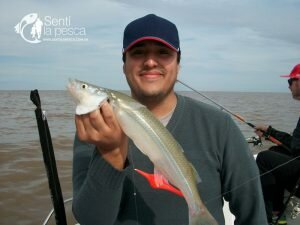 171004 PESCA EN BERISSO