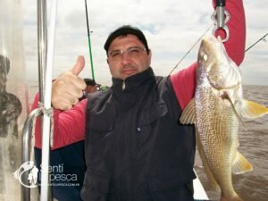 171004 PESCA EN BERISSO4